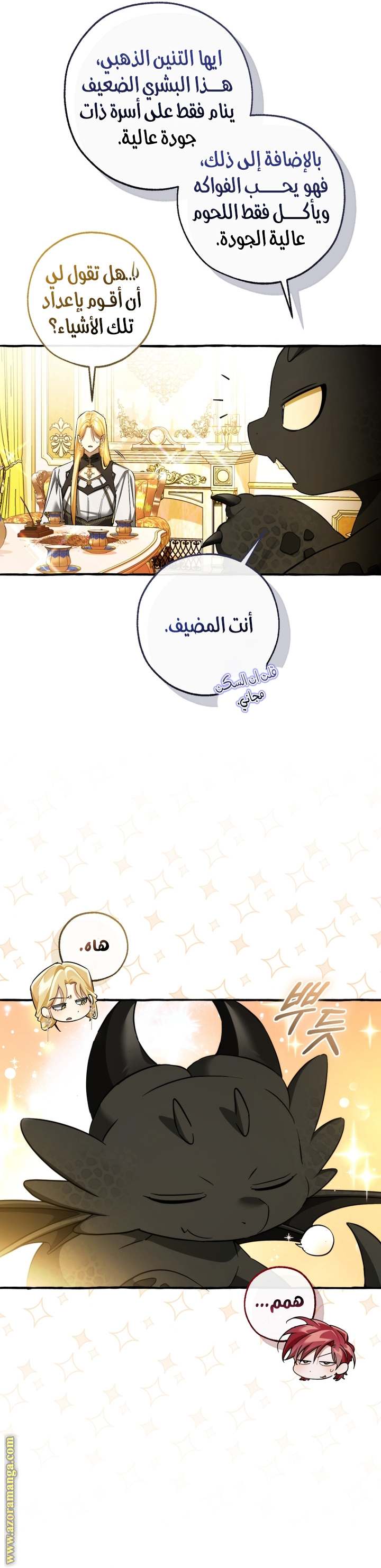 الصفحة 13