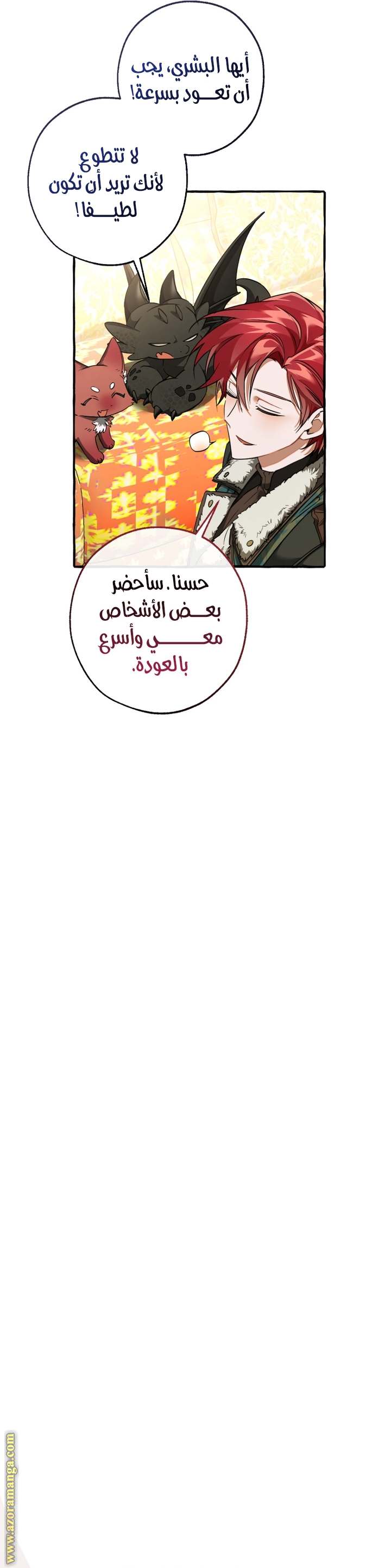الصفحة 17