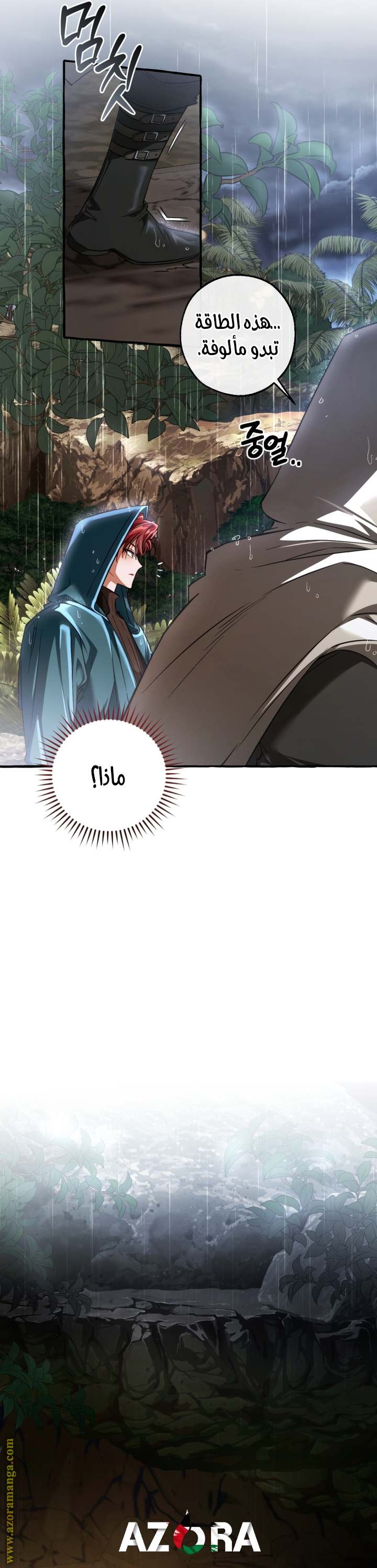 الصفحة 24