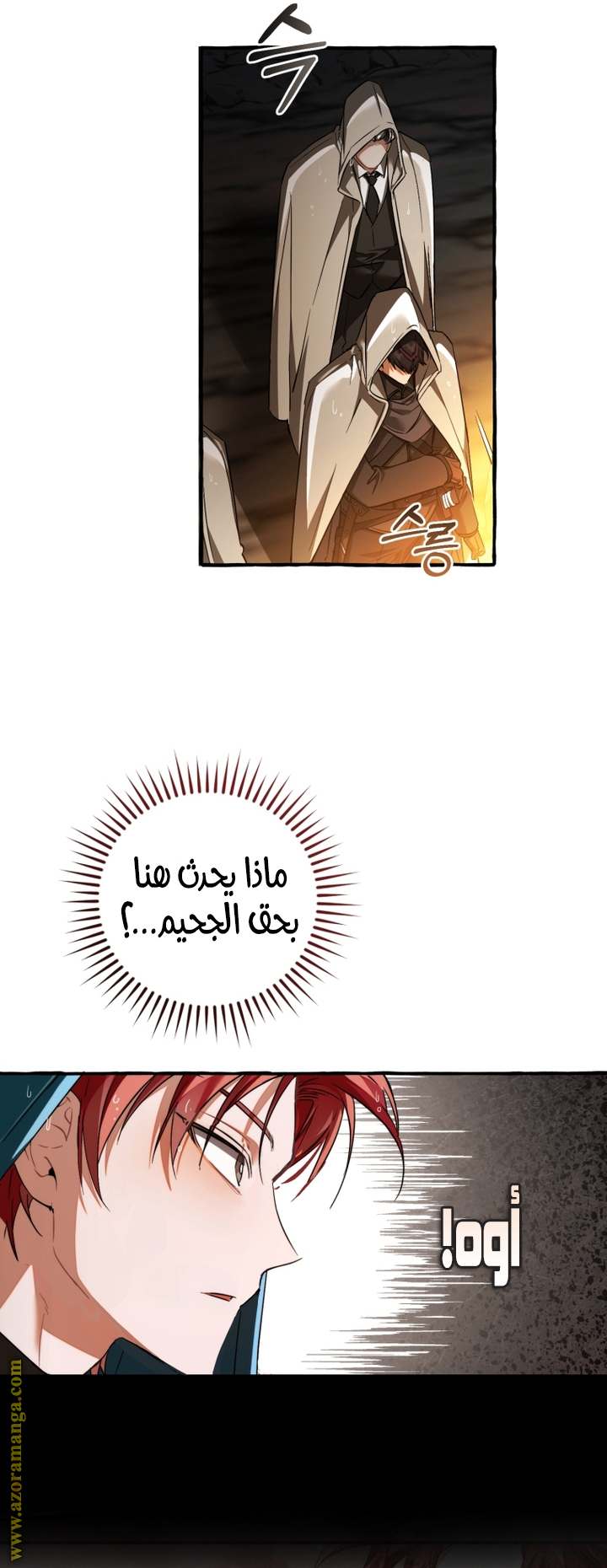 الصفحة 27