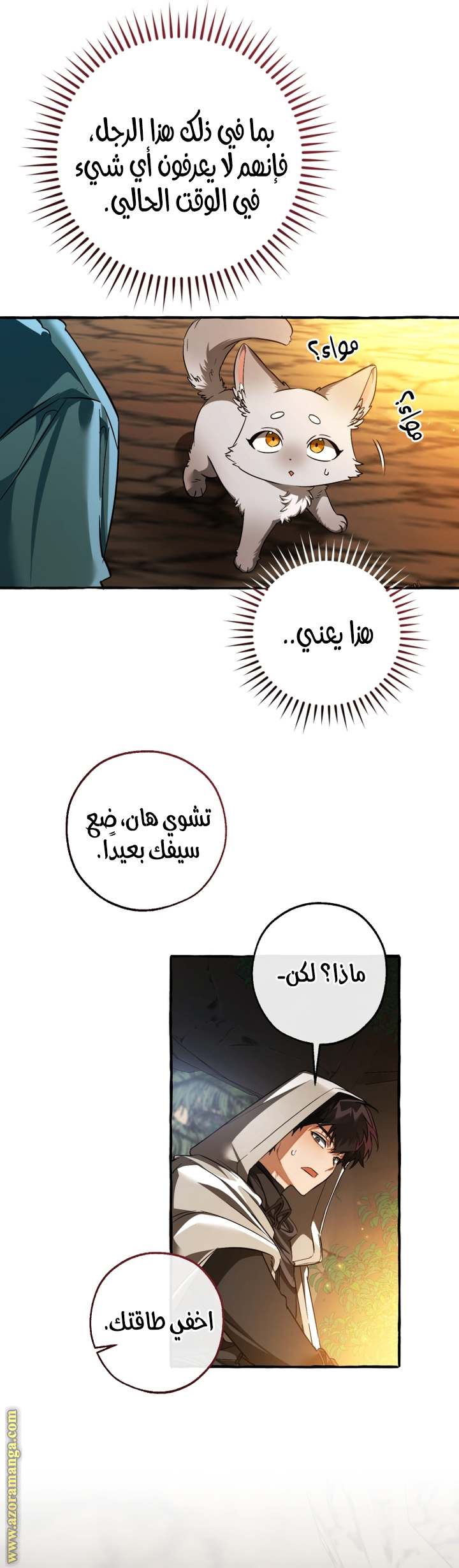 الصفحة 30
