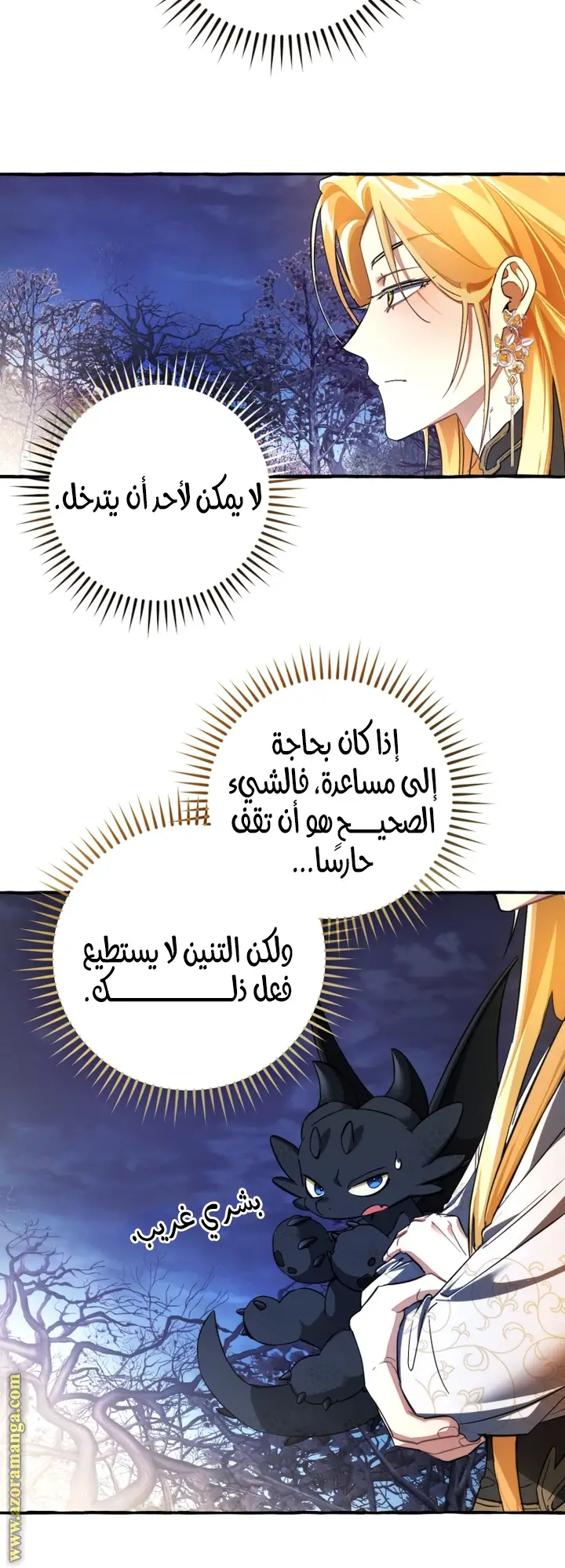 الصفحة 3