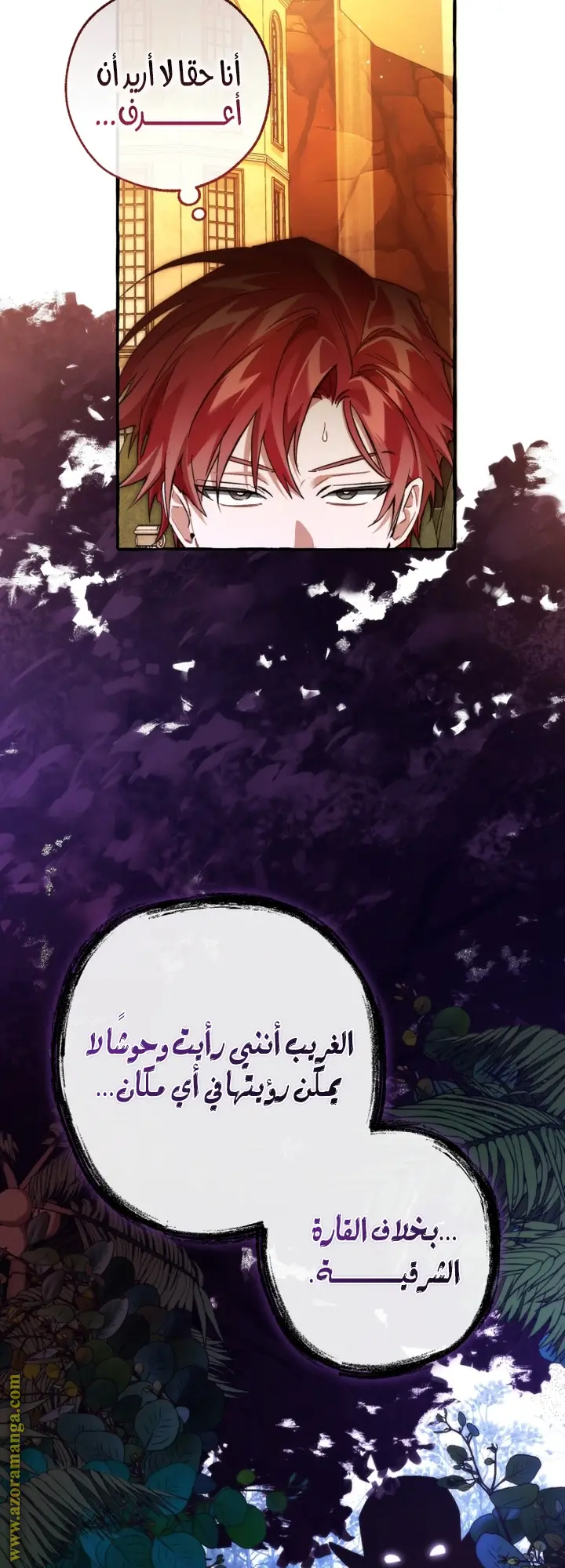 الصفحة 25