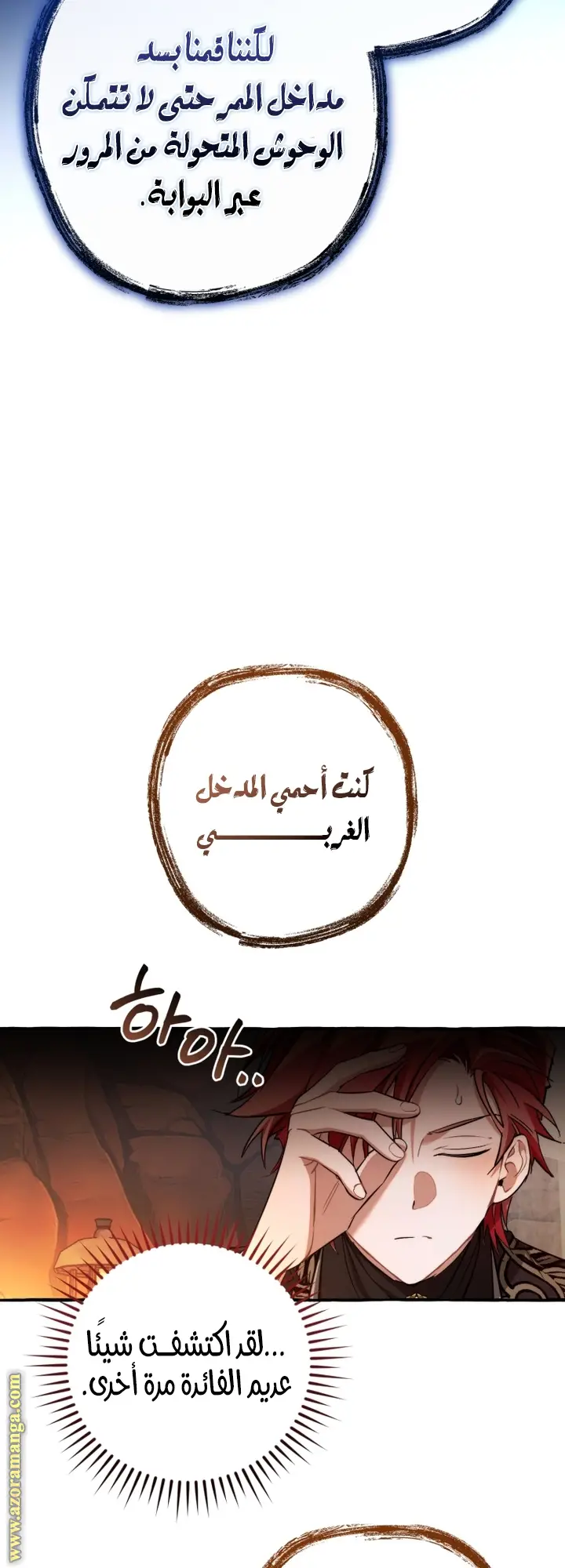 الصفحة 29