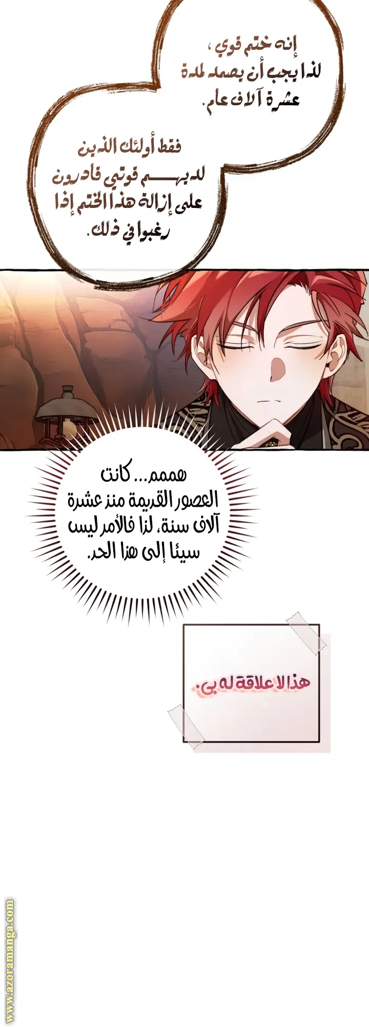 الصفحة 30