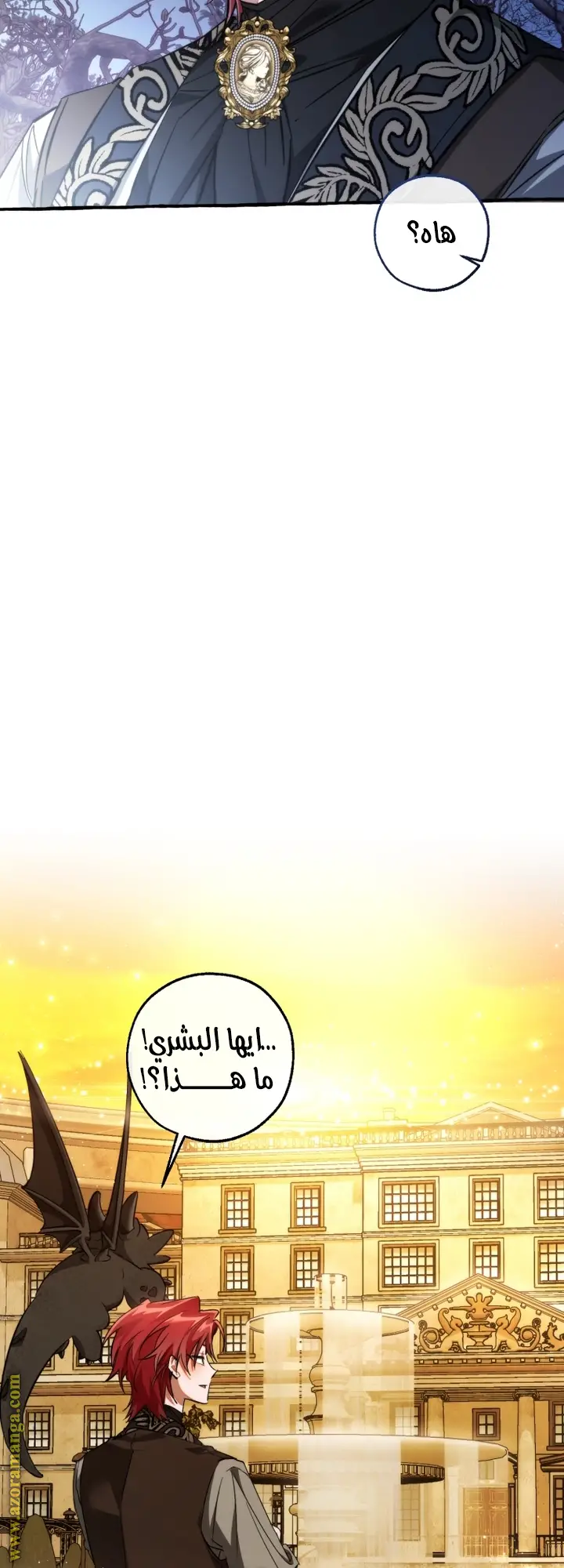 الصفحة 54
