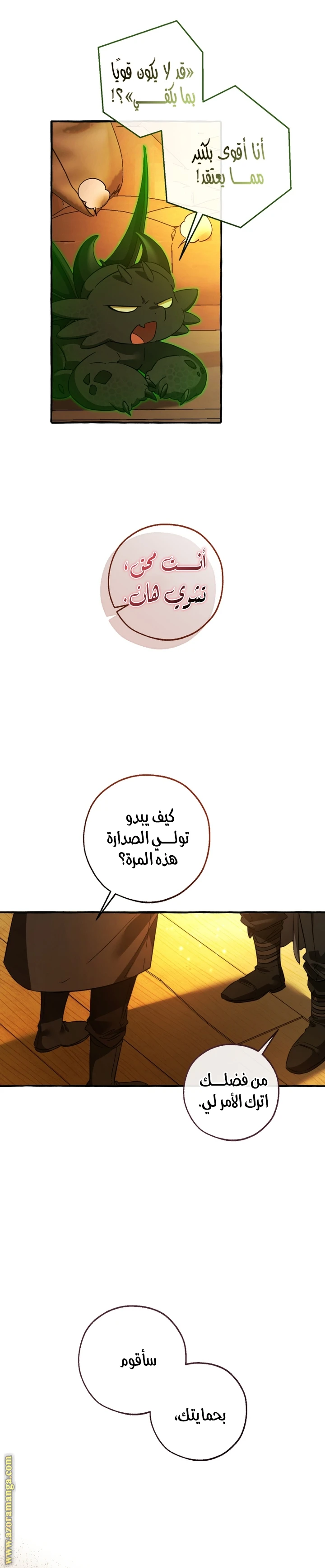 الصفحة 11