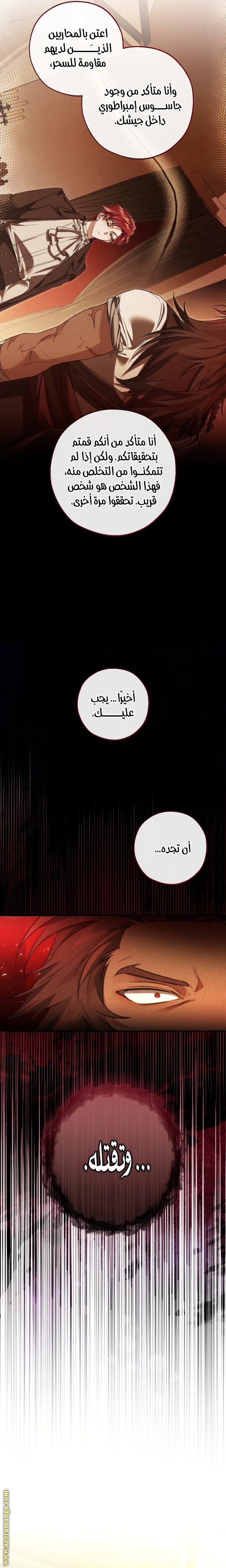 الصفحة 17
