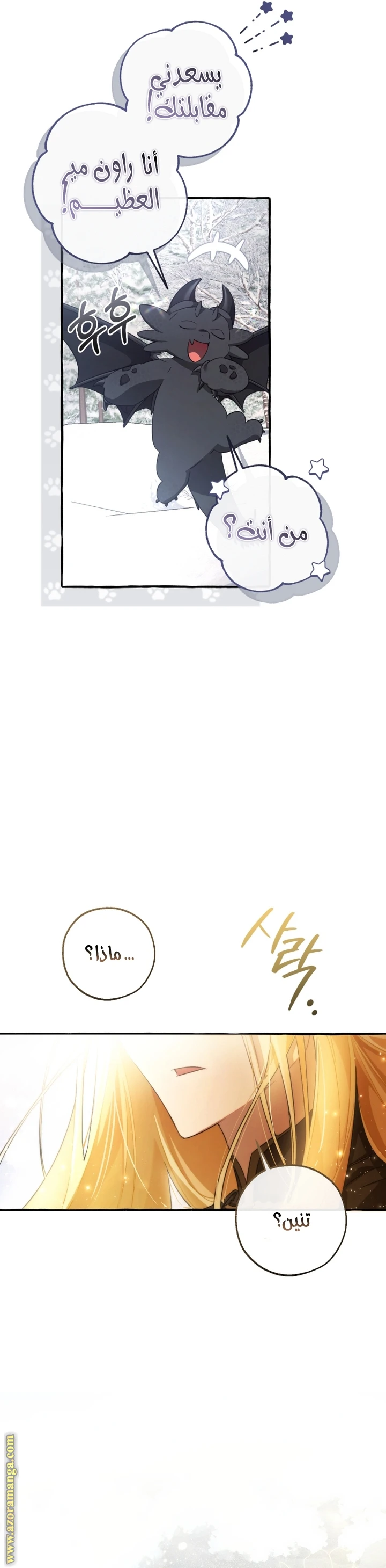الصفحة 25
