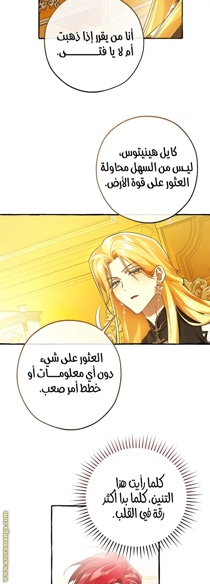 الصفحة 17