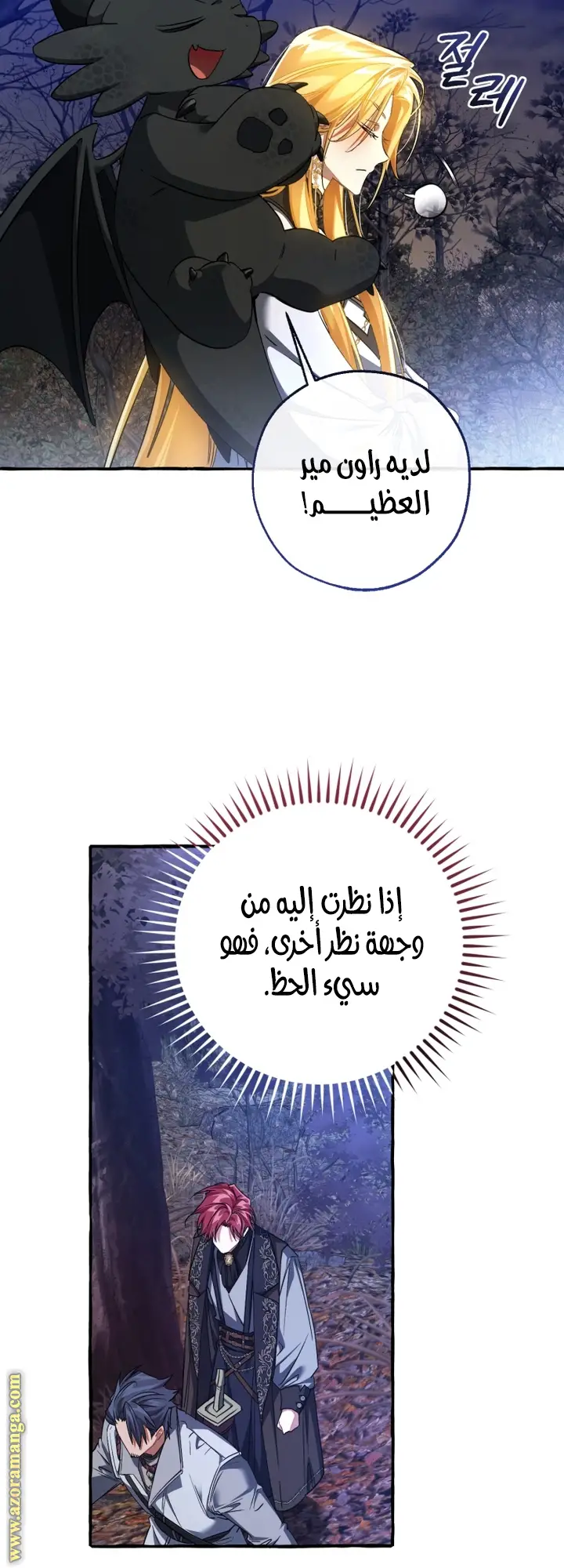 الصفحة 27