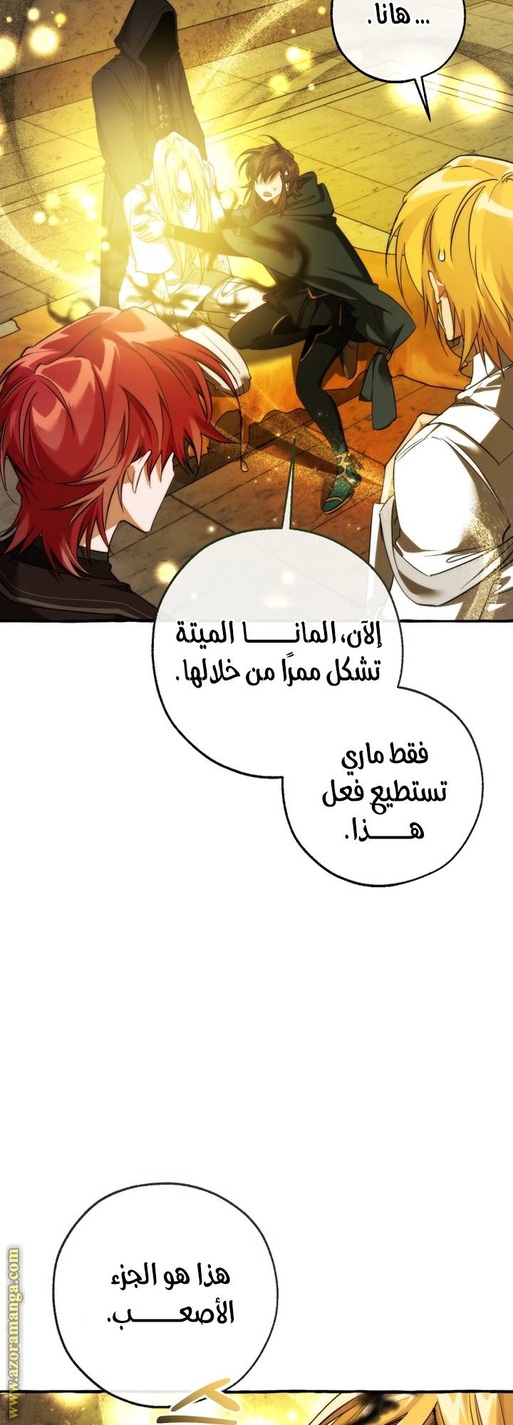 الصفحة 3