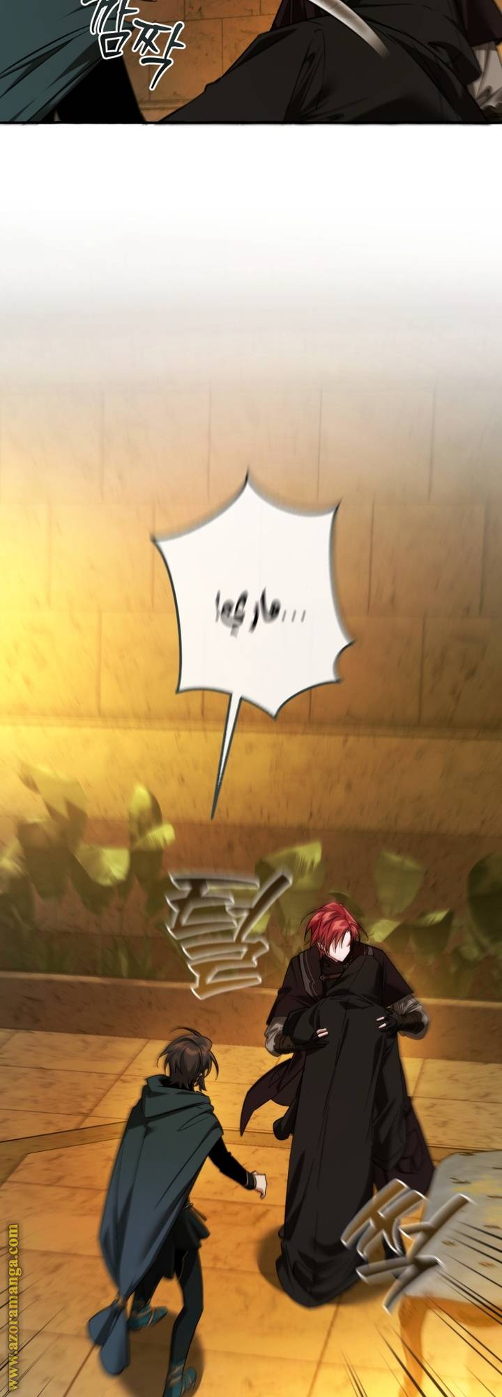 الصفحة 17