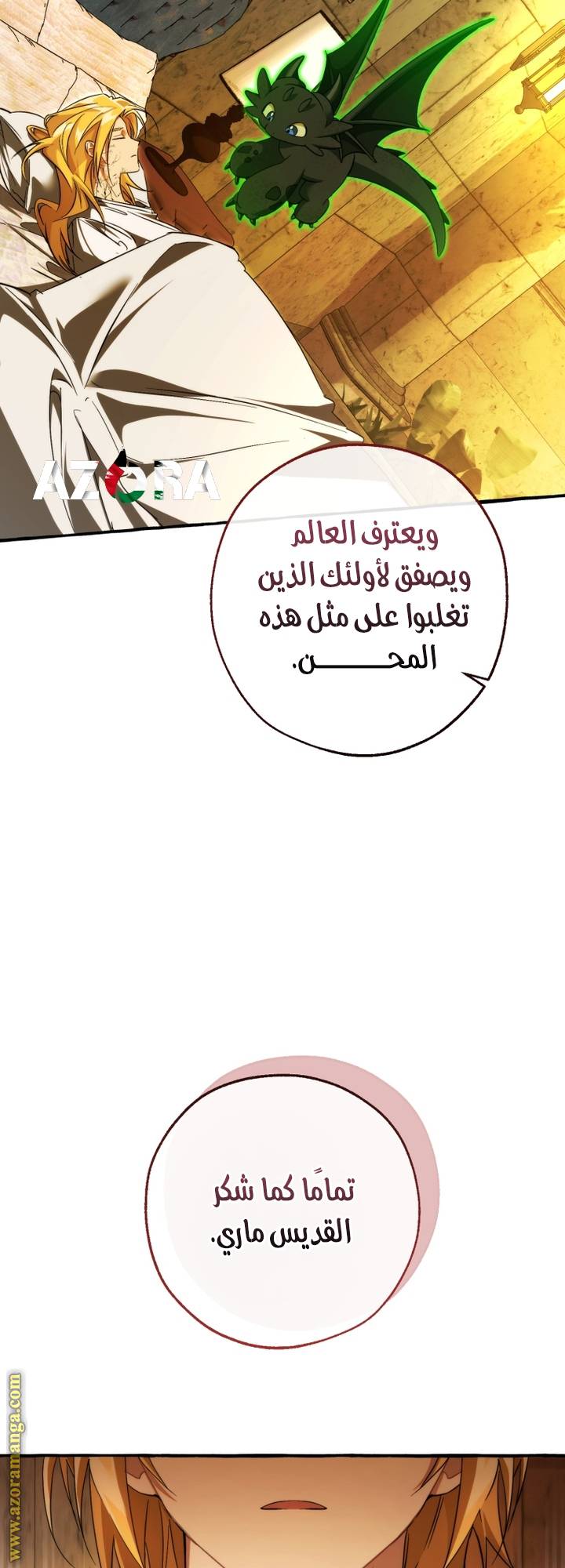 الصفحة 30