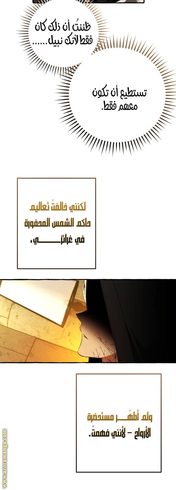 الصفحة 32