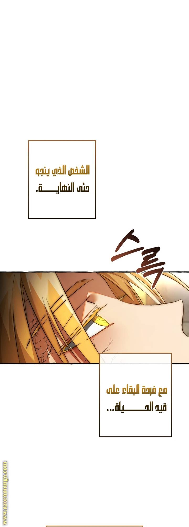 الصفحة 39