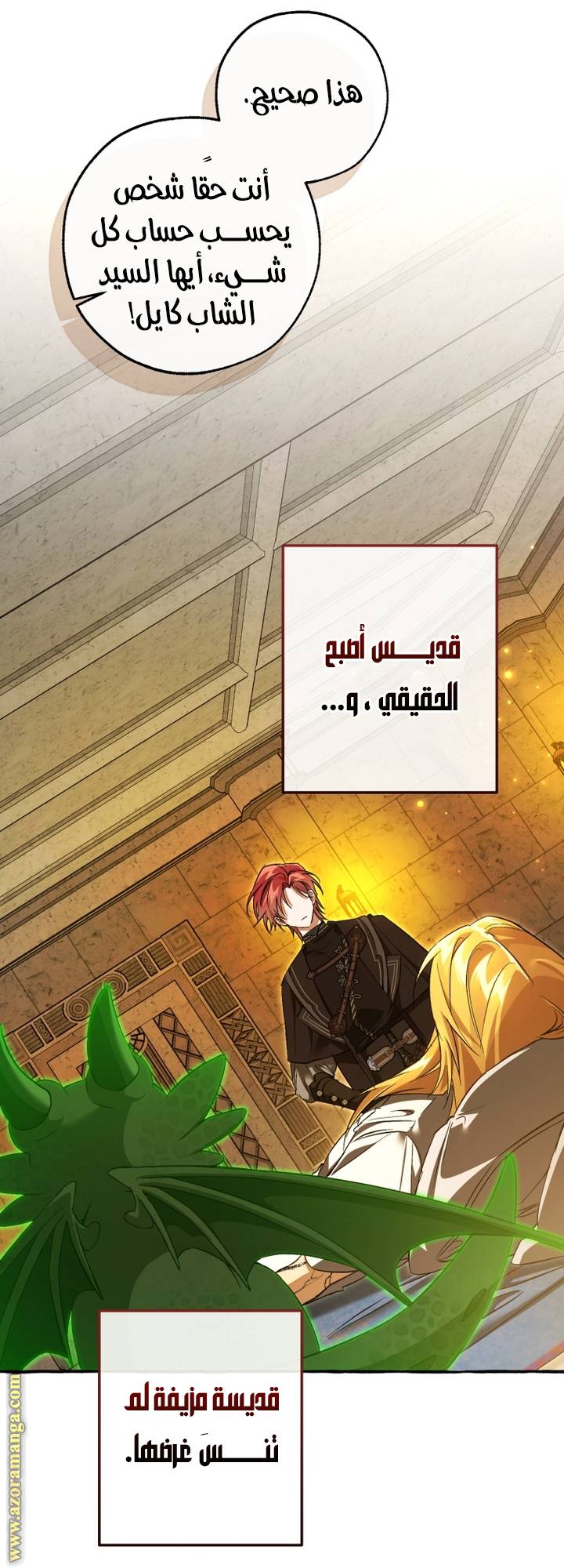 الصفحة 41
