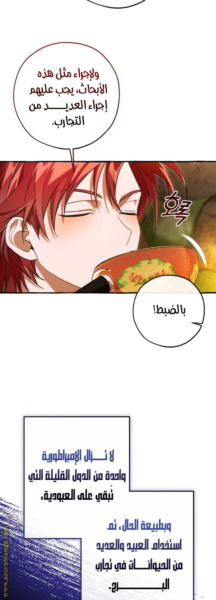الصفحة 46
