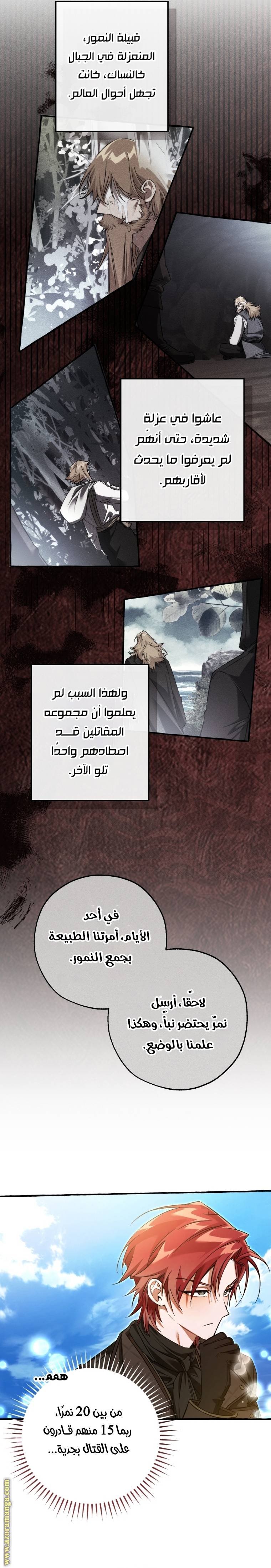الصفحة 14