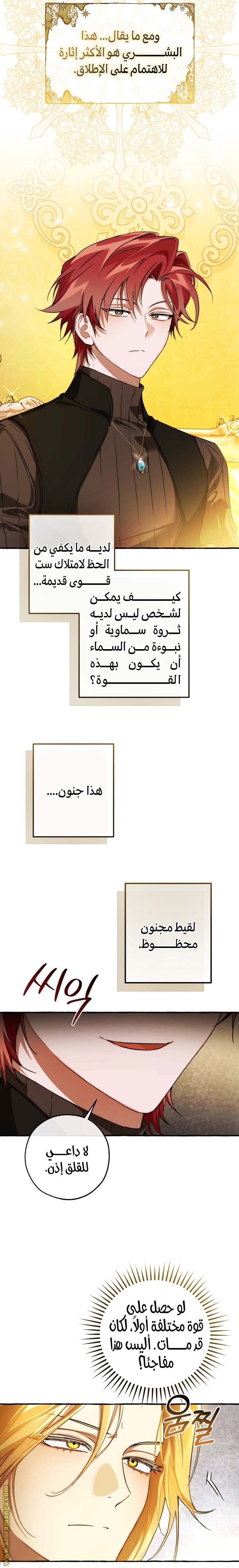 الصفحة 12