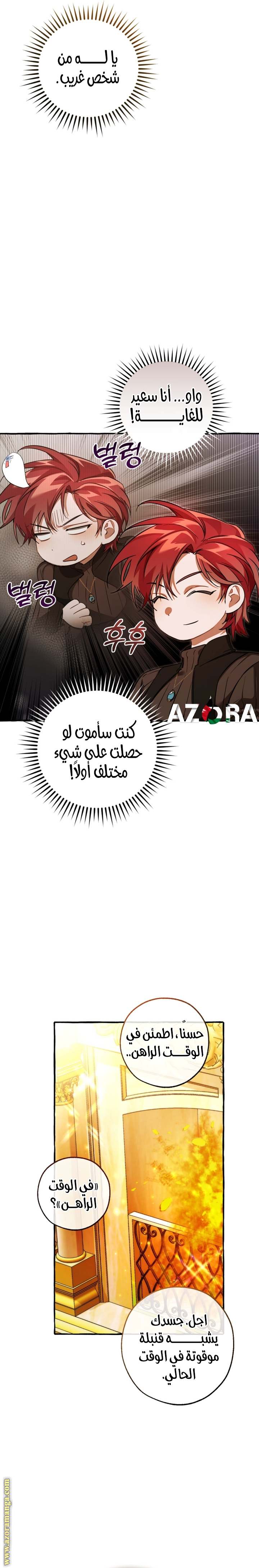 الصفحة 13