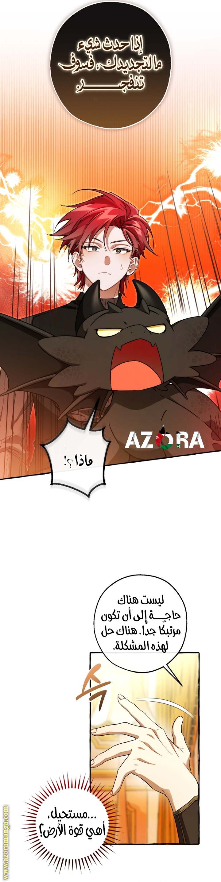 الصفحة 14
