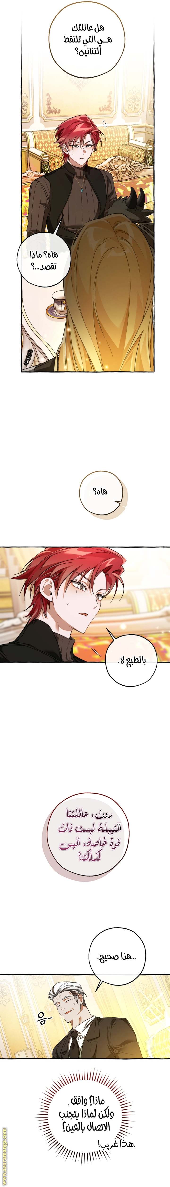 الصفحة 17
