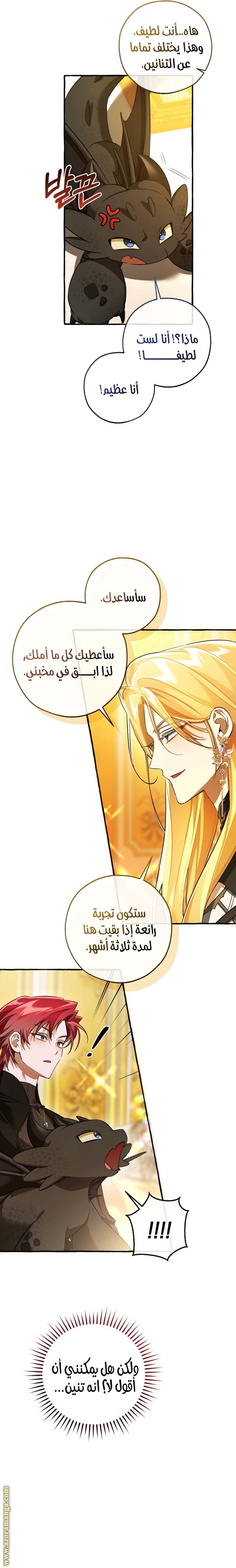 الصفحة 23