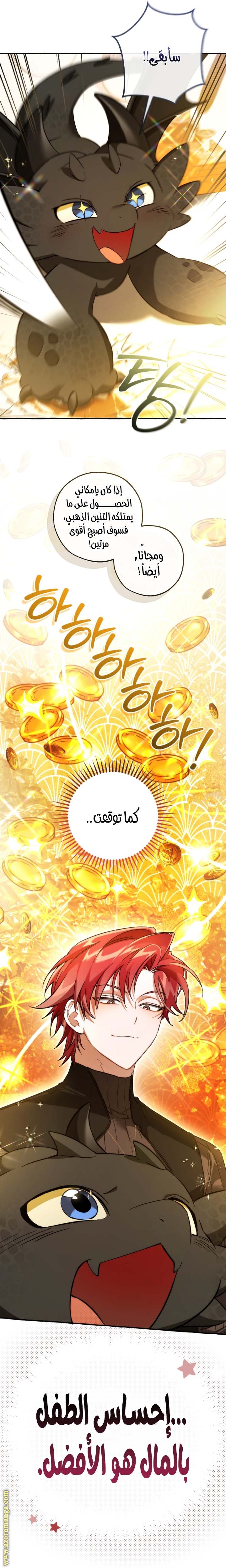 الصفحة 25