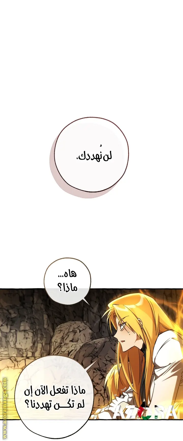 الصفحة 29