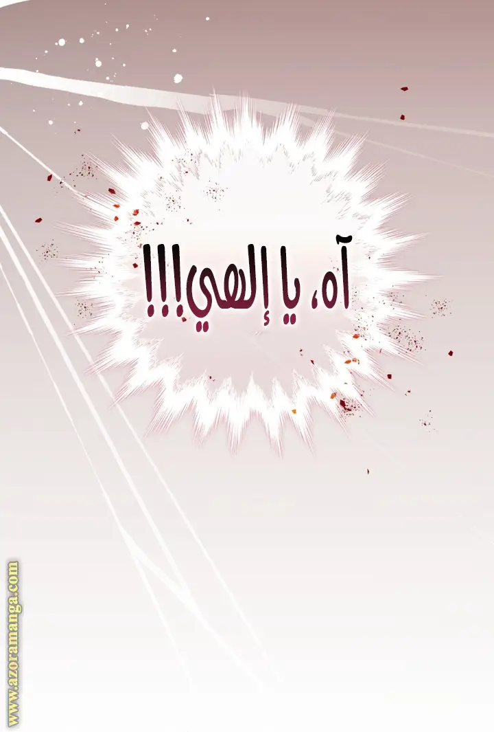 الصفحة 45