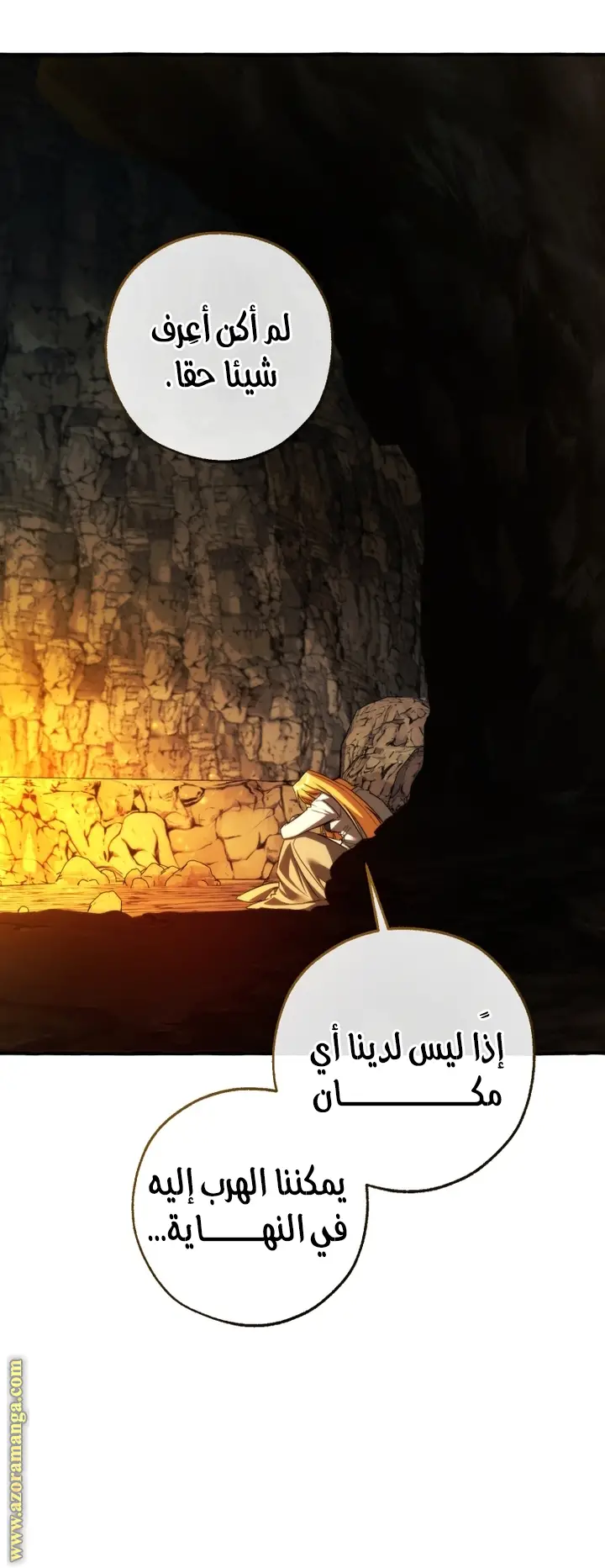 الصفحة 47