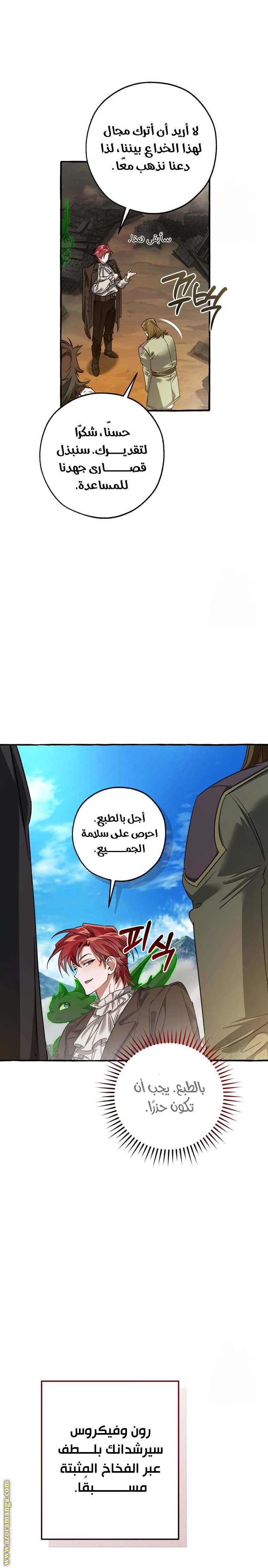 الصفحة 14