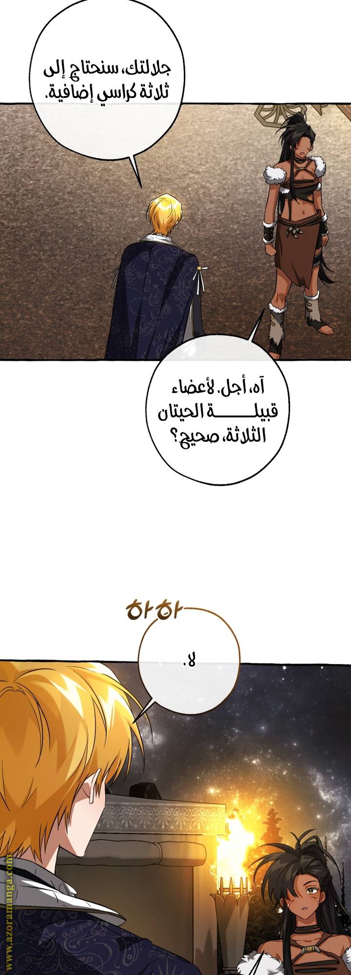 الصفحة 13