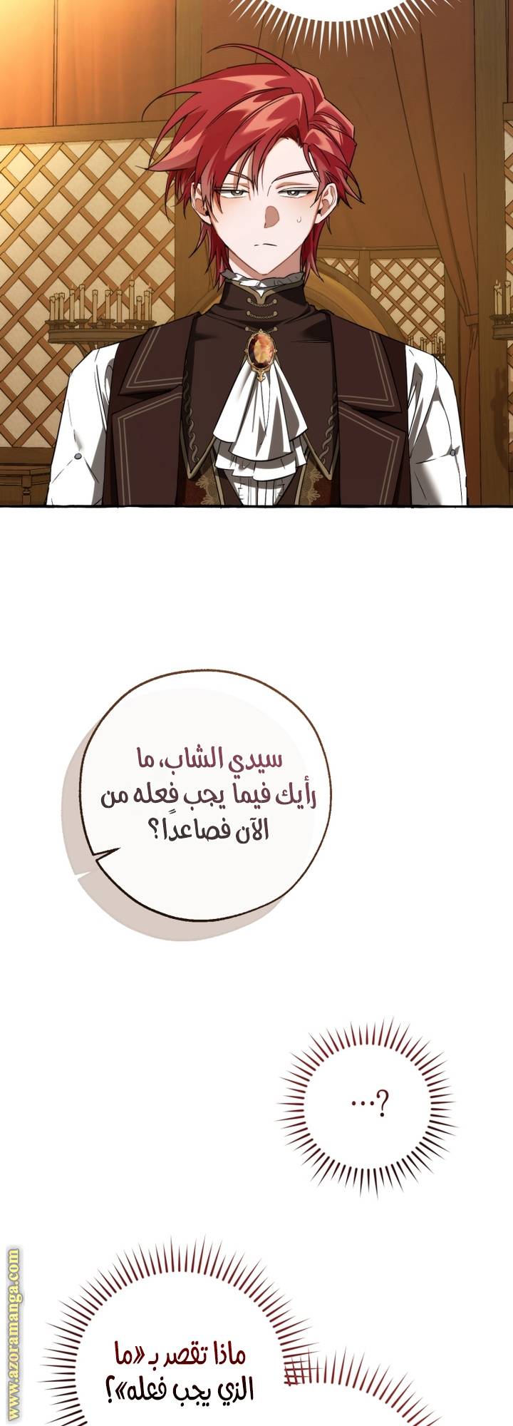 الصفحة 27
