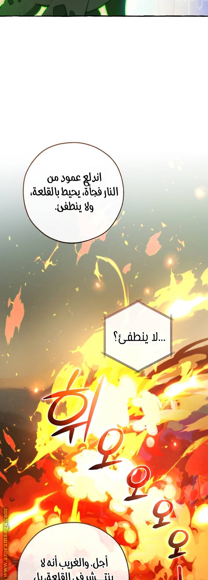 الصفحة 52