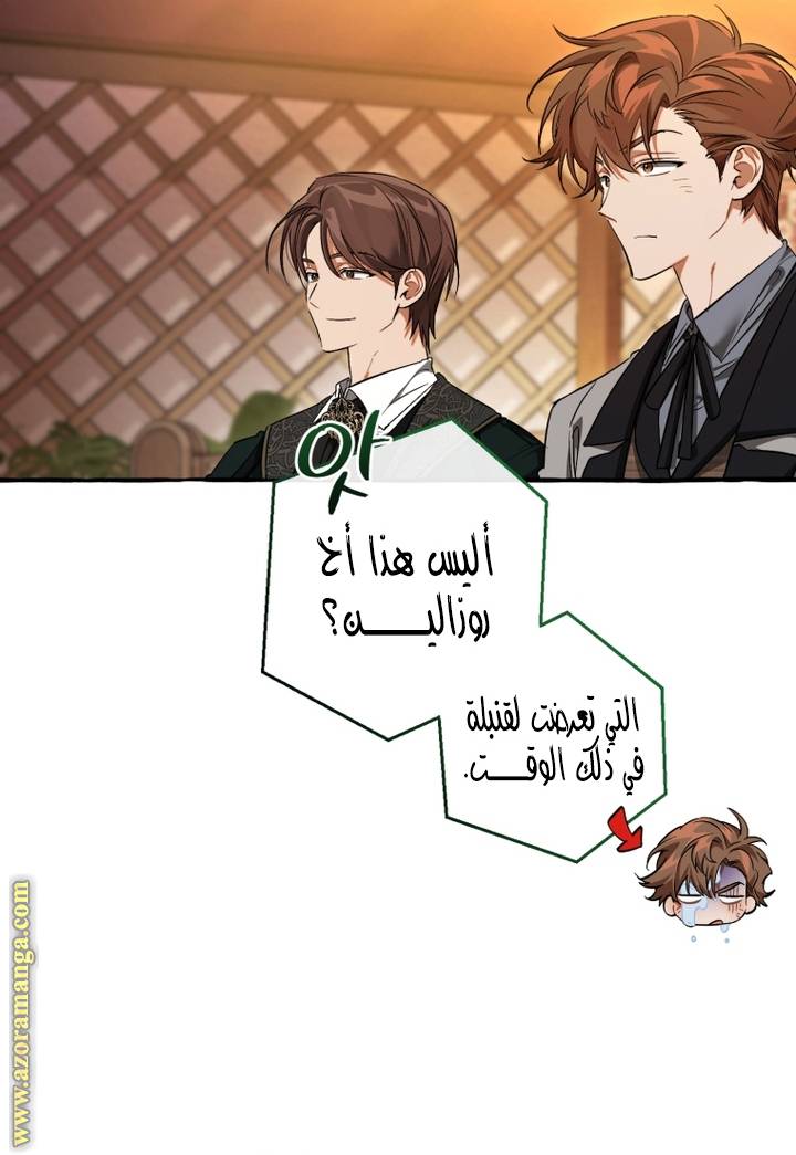 الصفحة 21