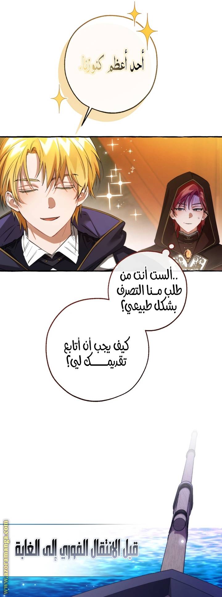 الصفحة 25