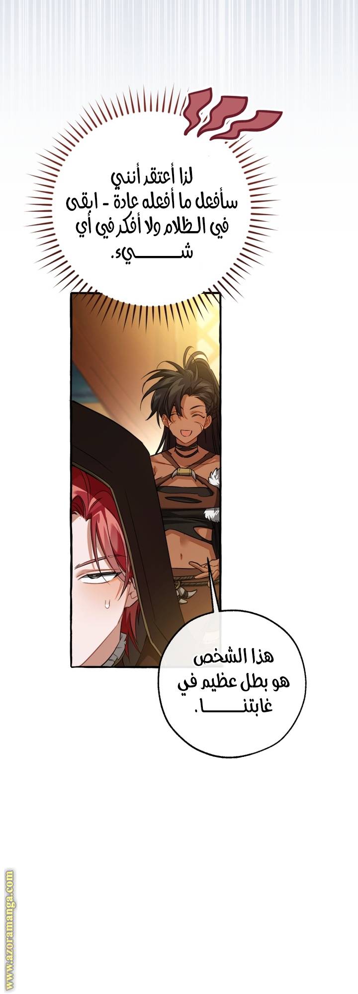 الصفحة 27