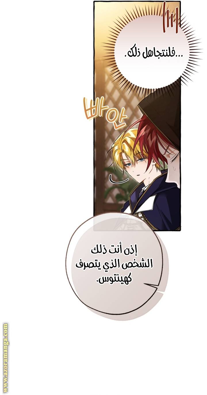 الصفحة 29
