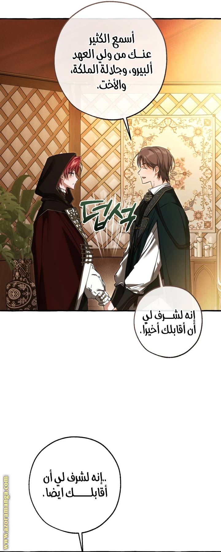 الصفحة 30