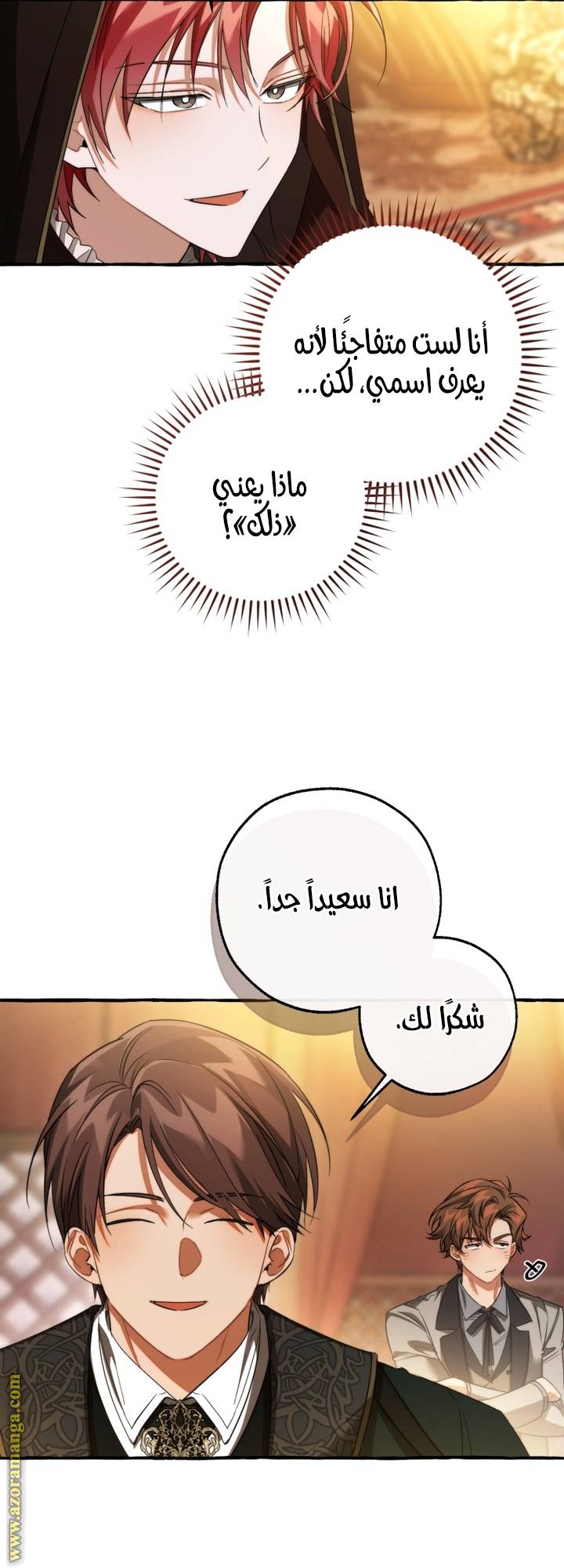 الصفحة 31