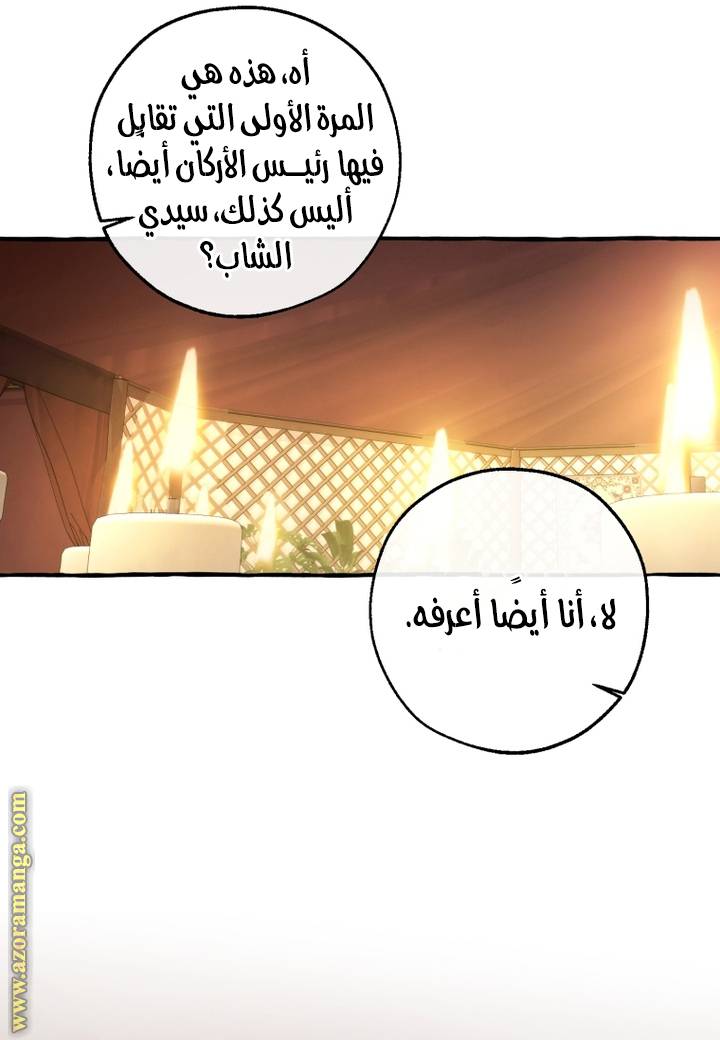 الصفحة 33