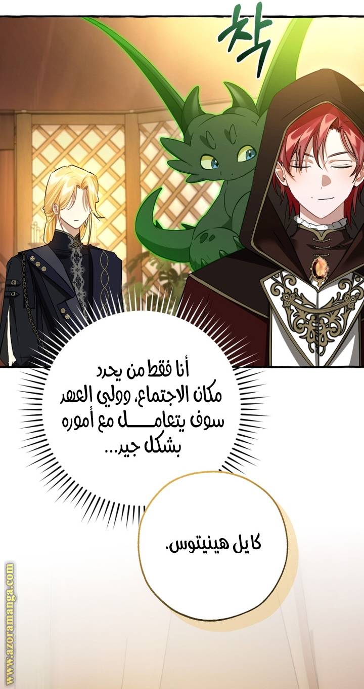 الصفحة 39
