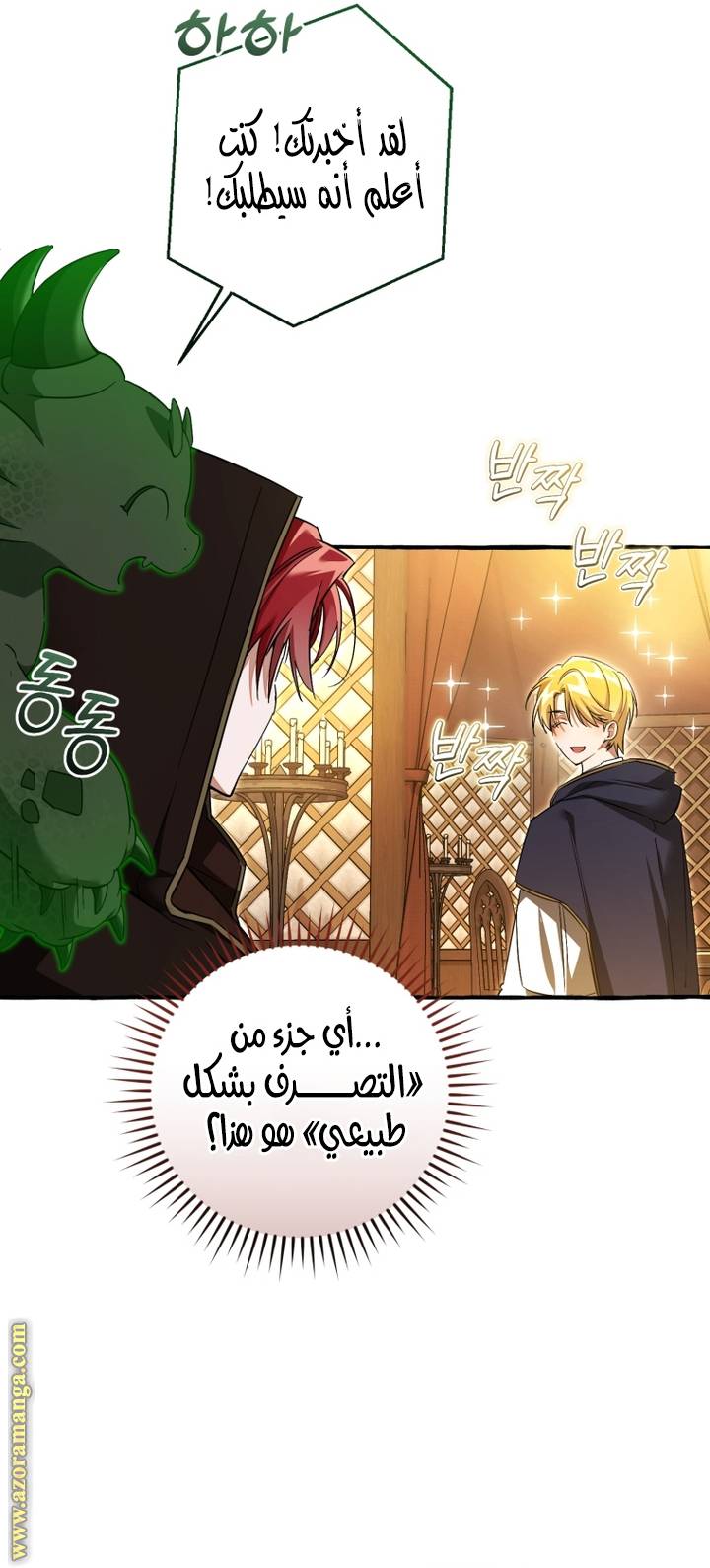 الصفحة 41