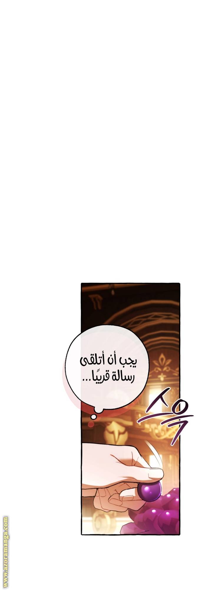 الصفحة 29