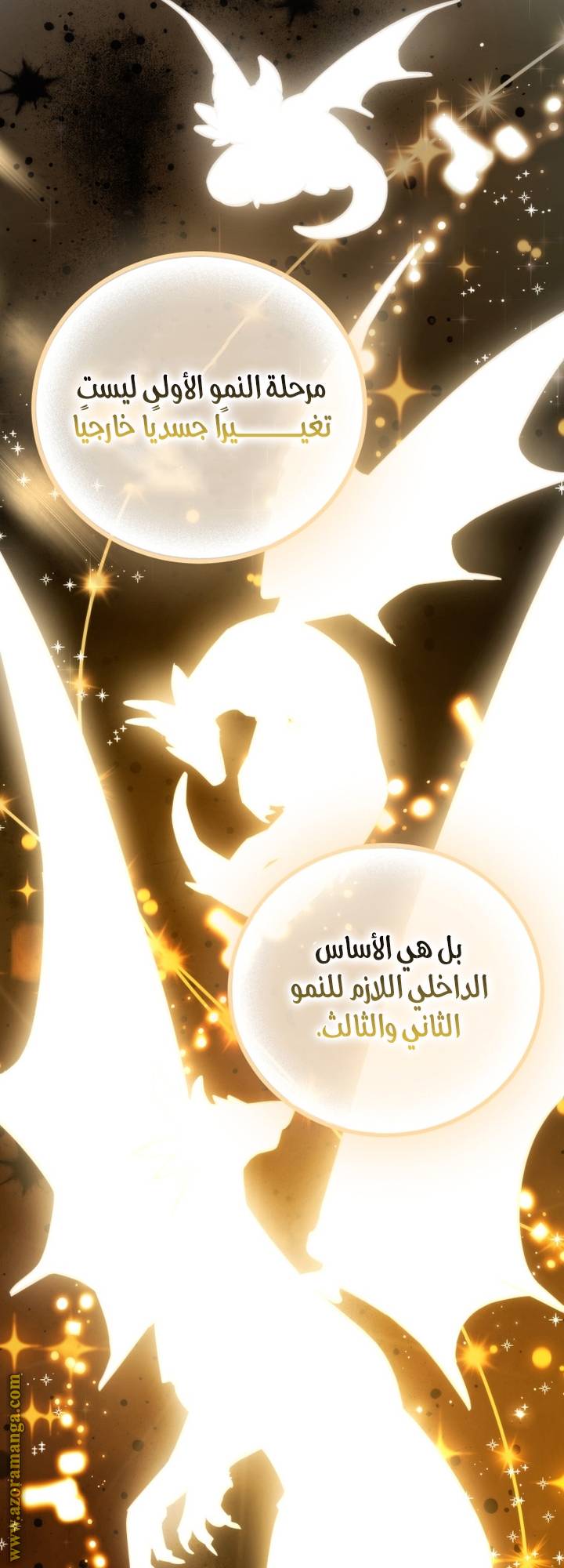 الصفحة 50