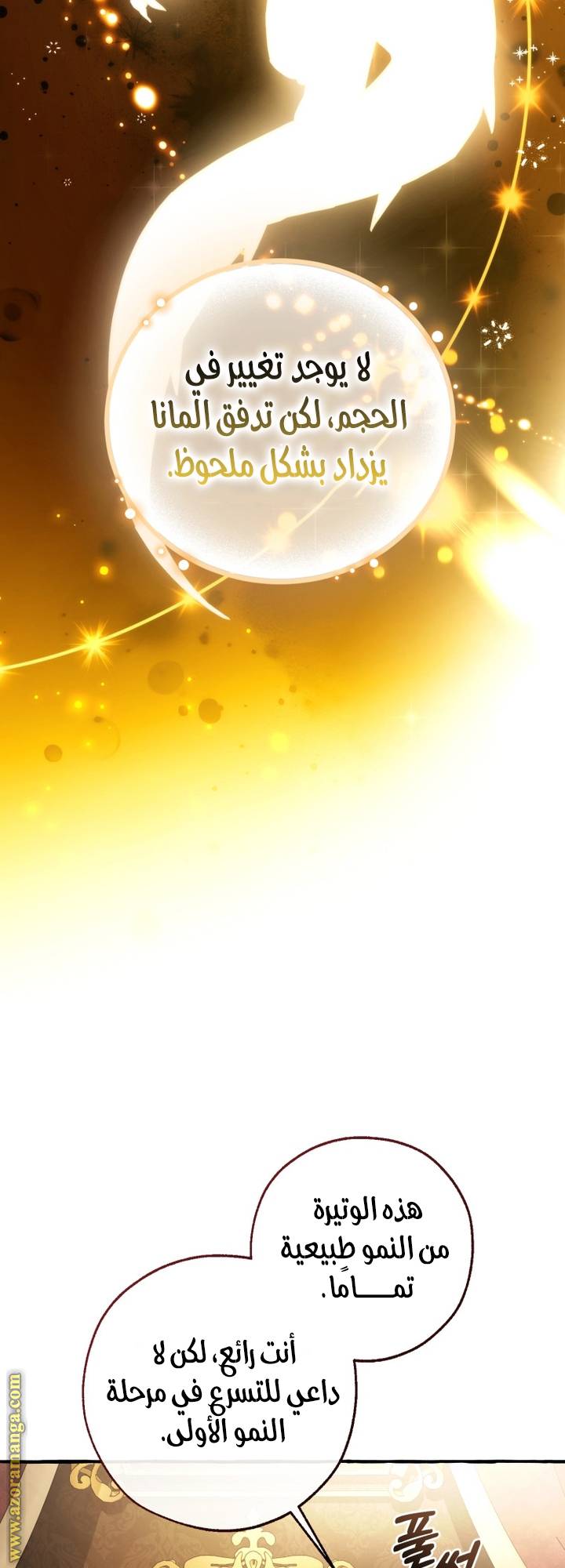 الصفحة 51