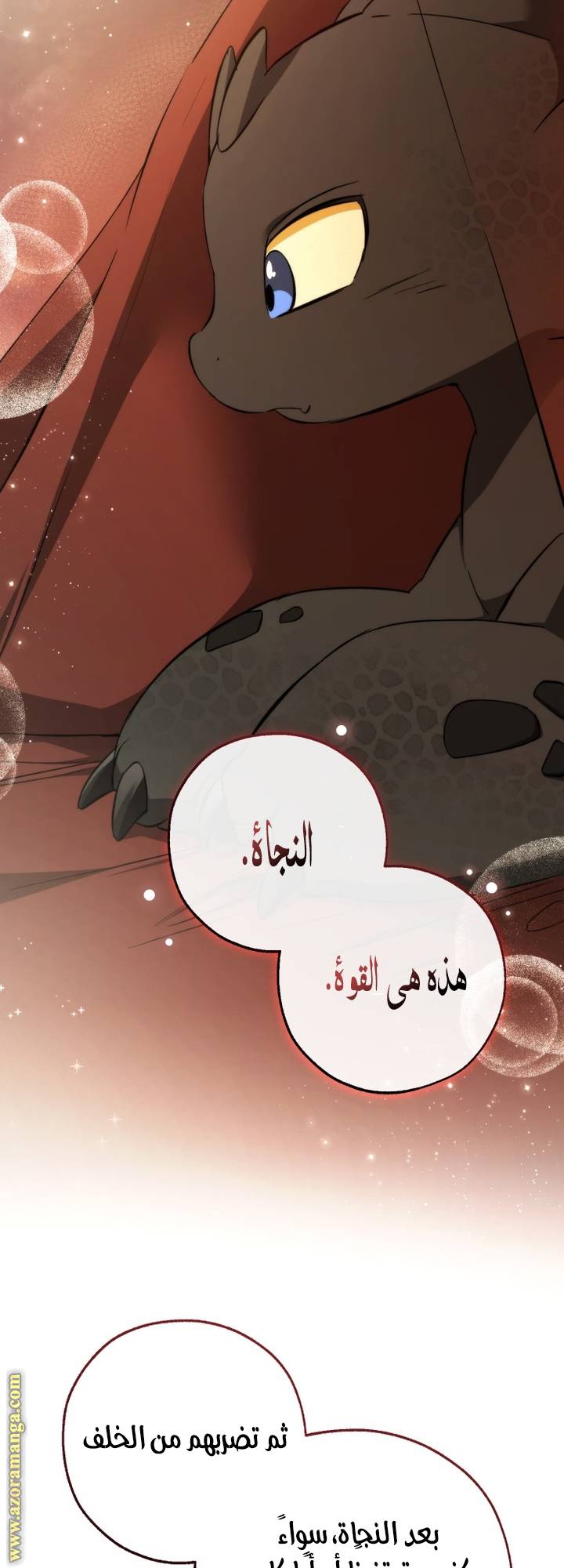الصفحة 55