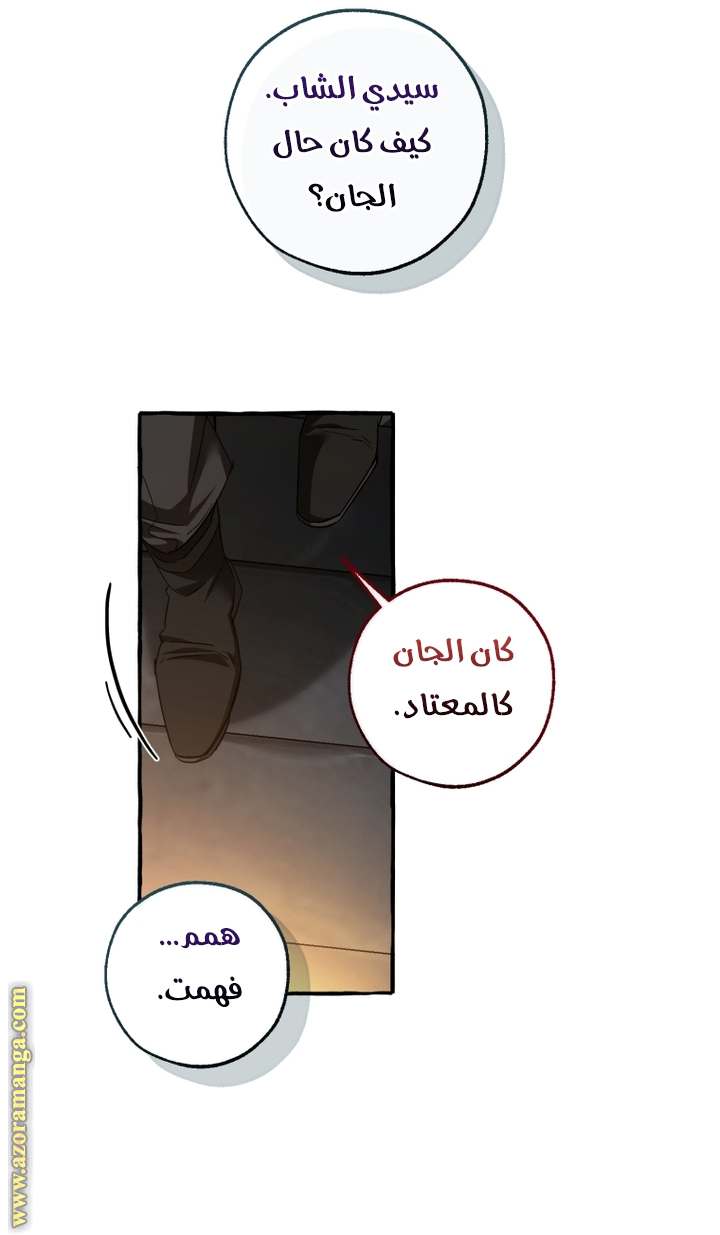 الصفحة 29